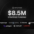 인튜이션 이미지