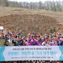 희망나무심기5 이미지