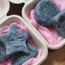 일신매화 이미지