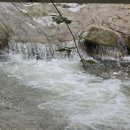 전주고덕펜션 | 완주독채펜션 완주단체펜션 자연 속 힐링 고덕펜션 후기