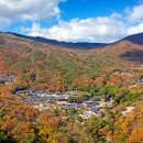 화명힐링의원 이미지