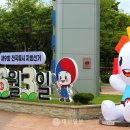 대전 3909 대전일보
