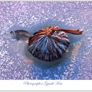 사진전람회 이미지