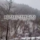 자작자작캠핑장 이미지