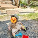 곰섬황토방 | 아이랑 태안수영장펜션 곰섬황토빌리지펜션 (바지락도 많이 캠)