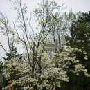 장수공원 이미지