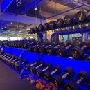 렉스휘트니스 이미지