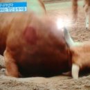 청도의하루 이미지