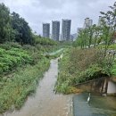 위례약수 이미지