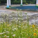 화양근린공원 입구 이미지