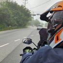 형제조류 이미지