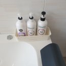 어우름스파애견펜션 이미지