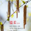 리젠트공인중개사사무소 이미지