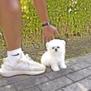 보은메디칼 이미지