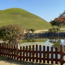 모텔리베 이미지