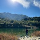 경호주유소 이미지