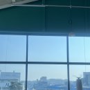 등교하개 이미지