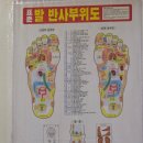 발편한 세상 | 보홀 헤난 알로나비치 조식 메뉴 시간 후기 : 발편한세상 내돈내산 후기