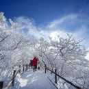 무주읍159 이미지