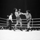 언더그라운드복싱