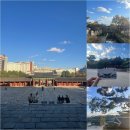 로맨스정자 | 서울 역사 궁 투어 기록, 창경궁 도슨트 해설 관람 후기