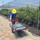 신기루농장 | 전동 운반차 공동구매 후기 및 일정