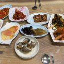 돌고래철따라맛따라