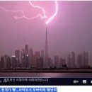 사막녹화 이미지