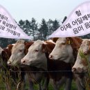 금천외양간