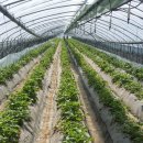 장훈농장 이미지