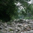 진동계곡마을 이미지