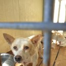 비지1리 이미지