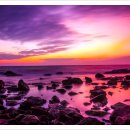 바닷가돌빌레 이미지