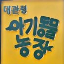 평화농장 | 강릉 아이와 가볼만한곳 추천 대관령아기동물농장 먹이주기 알파카 체험 후기