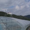 (주)에코팜 이미지