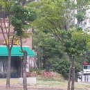 오스타세탁소 이미지