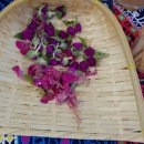 [마을배움터] 통기타 이미지