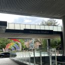 아나푸드 | 메종드아나하 뷔페 나홀로 하객 솔직후기