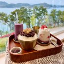 강원도 삼순이네 산삼농장 | 남해 여행 1박2일 코스 오션뷰와 정원이 완벽했던 카페 더 힐스