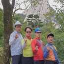 오네스타(onesta) 이미지