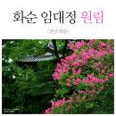 [전남 화순] 화순 가볼만한곳, 임대정 원림