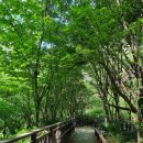 장지공원 화장실 이미지