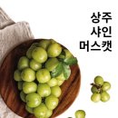 강남청과 - 서초구 사평대로53길 19 | 강남청과