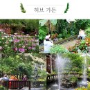 생기나라 농원