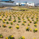 운곡면사무소 이미지