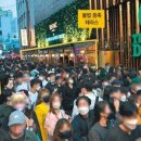 호텔토마토 이미지