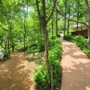 월아산 숲속의 진주 이미지