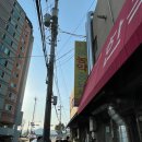 서울농약종묘사 이미지