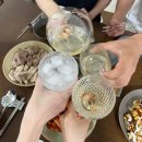 화분 구매 양재 하훼 공판장 내돈내산 후기 (마오라소포라, 몬스테라) 나동 이화 꽃 농원, 김포 테라리움