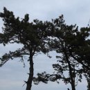 해넘이길 이미지